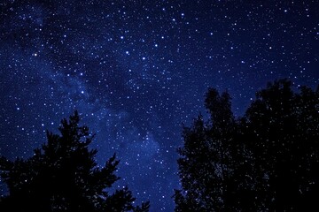 A breathtaking night sky filled with sparkling stars and the mesmerizing charm of the cosmos