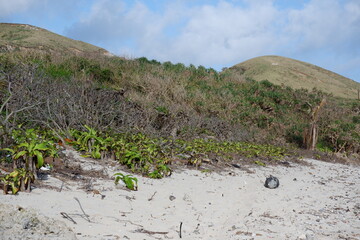 Morong Beach at Sabtang Island, Batanes, Philippines