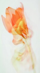 Obraz premium Blurred Motion of an Orange Flower