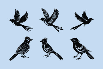 Flame-throated Bulbul bird, silhouette vector illustration