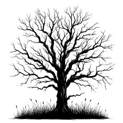 Fototapeta premium tree silhouette vector