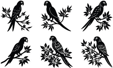 Obraz premium Parrot on tree branch silhouette black vector art design set