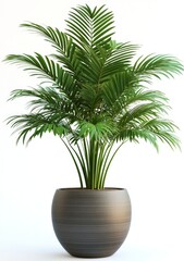 Obraz premium Vibrant indoor palm plant in a stylish pot