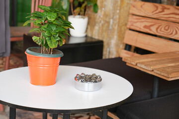 Cozy outdoor seating with plants and decorative elements in focus