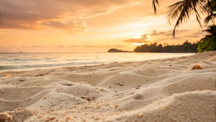 sunset over the beach