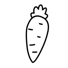 Carrot line icon vector