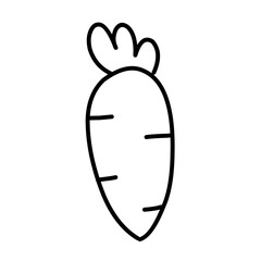 Carrot line icon vector