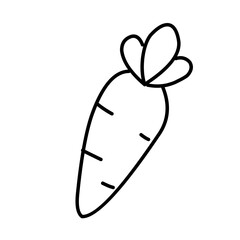 Carrot line icon vector