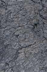 Nahaufnahme einer grau-schwarzen Lava-Textur auf dem Boden. Porös, rissig und steinern, ideal als...
