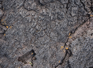 Nahaufnahme einer grau-schwarzen Lava-Textur auf dem Boden. Porös, rissig und steinern, ideal als Stock-Textur oder Foto-Hintergrund. Eindruck von geschmolzenem Gestein.