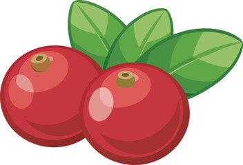 A vibrant and detailed vector art illustration showcasing the delicious and fresh cranberry fruit with rich colors and textures.
