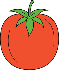 Tomato line art botanical illustration vegetable sketch simple style
