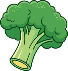 Detailed Broccoli Vector Illustration with Realistic Design for Healthy Eating and Nutrition Themes