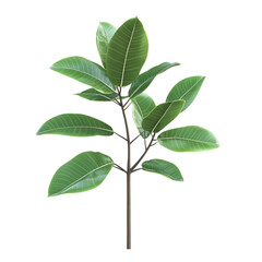 Naklejka premium Green plant leaves vibrant color stripes background nature design