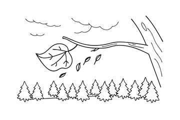 Fototapeta premium Autumnal Landscape Drawing Of Trees,Branch,Clouds And Falling Leaves In Line Art