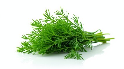 Fresh Dill Herb Bunch Isolated On White
