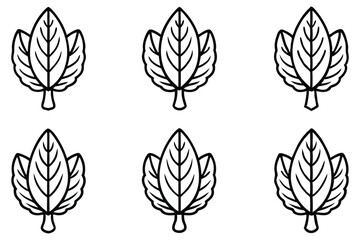 Shagbark Hickory Tree Illustrations on White Background