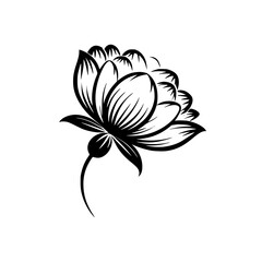 Elegant Black & White Floral Vector, Botanical Illustration, Minimalist Design