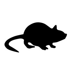 black silhouette rat set icon vector