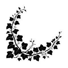 Elegant Black Ivy Corner Design with Delicate Flowers