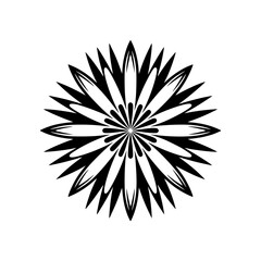 Fototapeta premium Abstract Black and White Floral Mandala Design, Vector Illustration