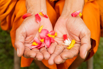 Closeup hand of buddhist monk wait for people pouring water on Songkran festival