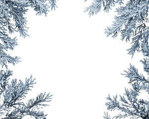 Obraz premium Silver-Blue Frosted Pine Branches Frame on Transparent Background, PNG