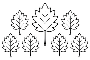 Flat Design Sycamore Leaf Icons Set