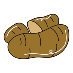 Potato, hand drawn doodle illustration, vector