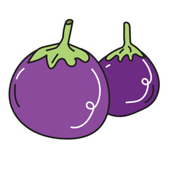 Round Brinjal,  hand drawn doodle illustration, vector