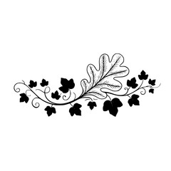 Elegant Black & White Leaf Vine Design, Vector Illustration, Floral Border