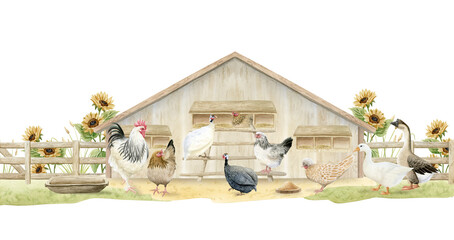 Chicken coop with hens, rooster and geese on farm watercolor illustration isolated on white. Poultry yard guinea fowl birds in realistic style. Farmyard scene clipart for village horizontal banners © Elena Malgina