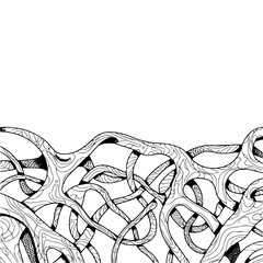 Abstract Hand-Drawn Black & White Organic Flowing Lines Border Design