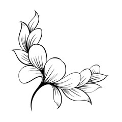 Elegant Black and White Floral Design with Shadows