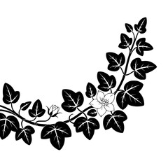 Obraz premium Elegant Botanical Black & White Floral Illustration with Decorative Elements