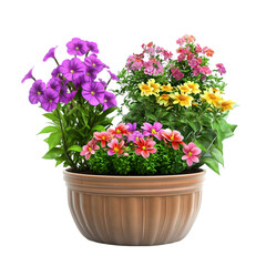 Vibrant Flower Pot: Colorful Blooms in Brown Planter on white background