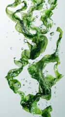Fresh green seaweed strands swirling in water with air bubbles - fresh seaweed strands flying