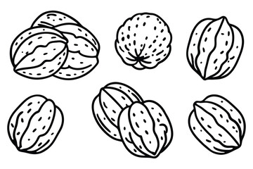 Whole Walnut Variety Collection Isolated