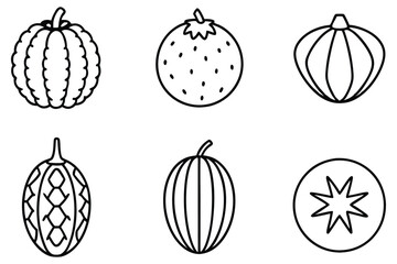 Wampee Fruit Illustration Pack