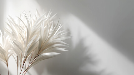 Obraz premium Minimal Botanical Feather Texture with Soft Shadows