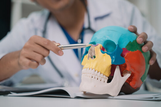 In the laboratory, the doctor, a dedicated lecturer in anatomy, was examining the human skull closely, taking detailed notes to enhance his students' education on cranial structure.
