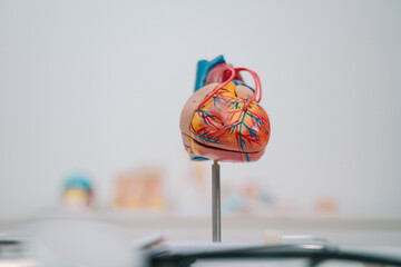 At the clinic, the cardiologist discussed the latest advancements in cardiology with the patient, emphasizing the importance of regular health check-ups for disease prevention and care.