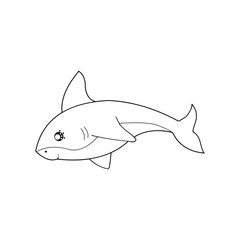 vector illustration of fish