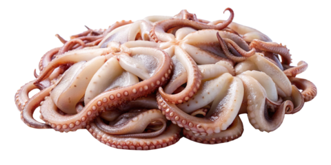 A pile of fresh raw octopus tentacles with suckers on a white backdrop
