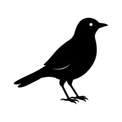 bird-vector-silhouette illustration