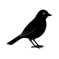 bird-vector-silhouette illustration