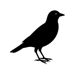 bird-vector-silhouette illustration