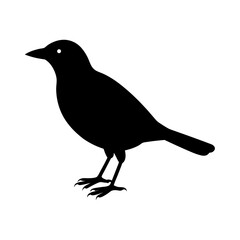 bird-vector-silhouette illustration