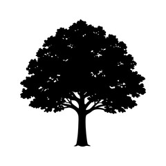 Fototapeta premium oak-tree-vector-silhouette illustration
