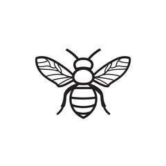 predatory bee